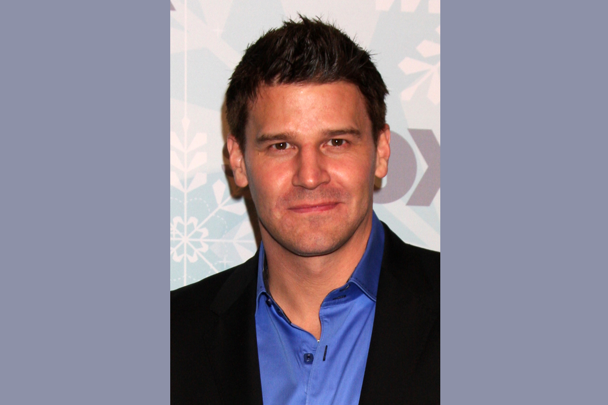 Comm Grad Spotlight: David Boreanaz